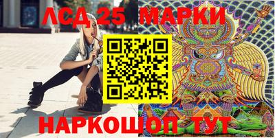 индика Обнинск