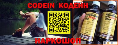 индика Обнинск