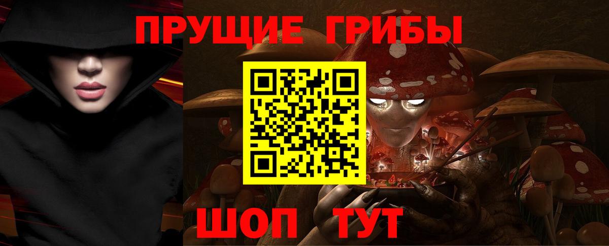 наркота  Галлюциногенные грибы Cubensis  Подольск  Вход с VPN  Галлюциногенные грибы ЛСД 